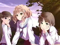 秋蝉物语