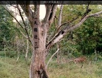 《带一片 风景 走》好看吗？经典影评10篇