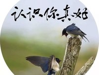 认识你真好：上帝的孩子不流浪（上）