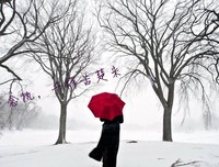 关于八零的唯美语录