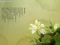 关于木水的语句