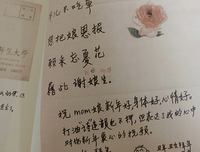 我们仨读后感10篇