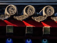 《像一块滚石》读后感精选10篇