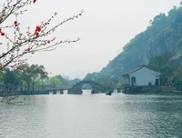 淡然之心