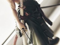 《武士的一分》观后感10篇