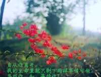 最经典的墨青城经典语录