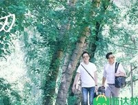 《生活艰难但是快乐》经典观后感10篇