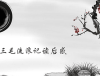 《放任心中的一百次流浪》读后感10篇