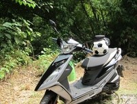 《天龙特攻队》观后感精选10篇