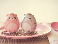 2017苏芩精彩语录