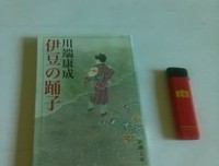 从伊豆到北京有多远读后感10篇