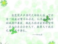 《我亦飘零久》佳句摘抄大全