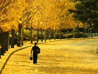 《无问西东》：真正爱你的人，不会错过任何细节