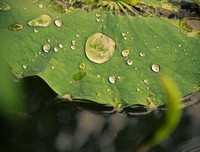 《幸福的七种颜色》经典读后感10篇