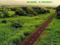 《回望》读后感精选10篇
