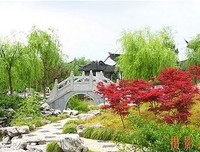 关于高云的名言