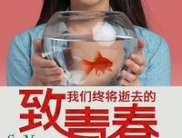 致我逝去的青春