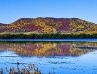 《孤城闭》读后感精选10篇