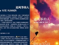 追風箏的孩子的读后感10篇