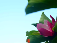 请把这辈子活好！（说得太对了）