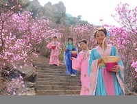 一夜花开，情自来