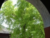 《燃犀奇谈》读后感10篇