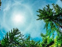 《红色赞美诗》观后感10篇
