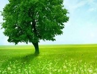 最全的《我们那年的梦想》小说摘抄
