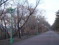 《太阳高照》影评10篇