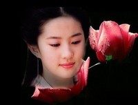 不敢听情歌，只怕 眼泪 流。