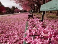 此去经年，愿你安好