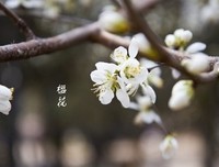 微笑的咖啡杯读后感精选10篇