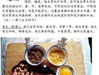 《猫饭》读后感10篇