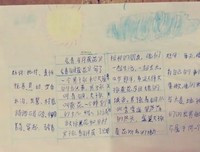 《青铜葵花》读后感10篇