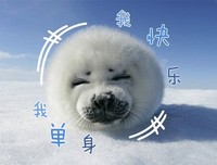 单身狗，就问你们齁不齁！甜不甜！虐不虐？！！
