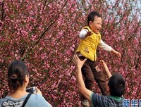 《中毒的父母》读后感10篇