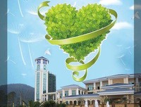 蒲公英的归宿