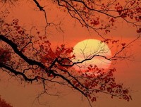 2017小楼名言名句