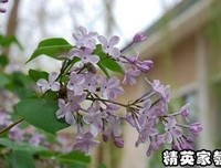 《北京法源寺》经典读后感10篇