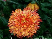 《北回归线》读后感10篇
