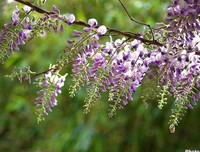 《人间四月天》观后感10篇
