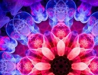 [灵魂旅程] 第二章：3、游历植物世界