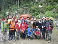 《莲花》的读后感10篇