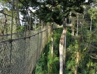 《一路向南》经典观后感集