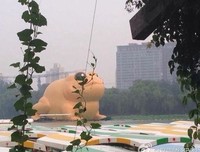 最全的《骄阳似我》经典语句大全