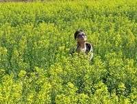 在春节，请待我如老友，别再伤害我