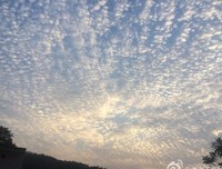 人和人之间不是只有“在一起”这一种关系