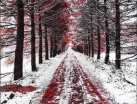 两个人的冬日小美好