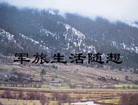 生活随想