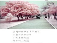   闲来无事